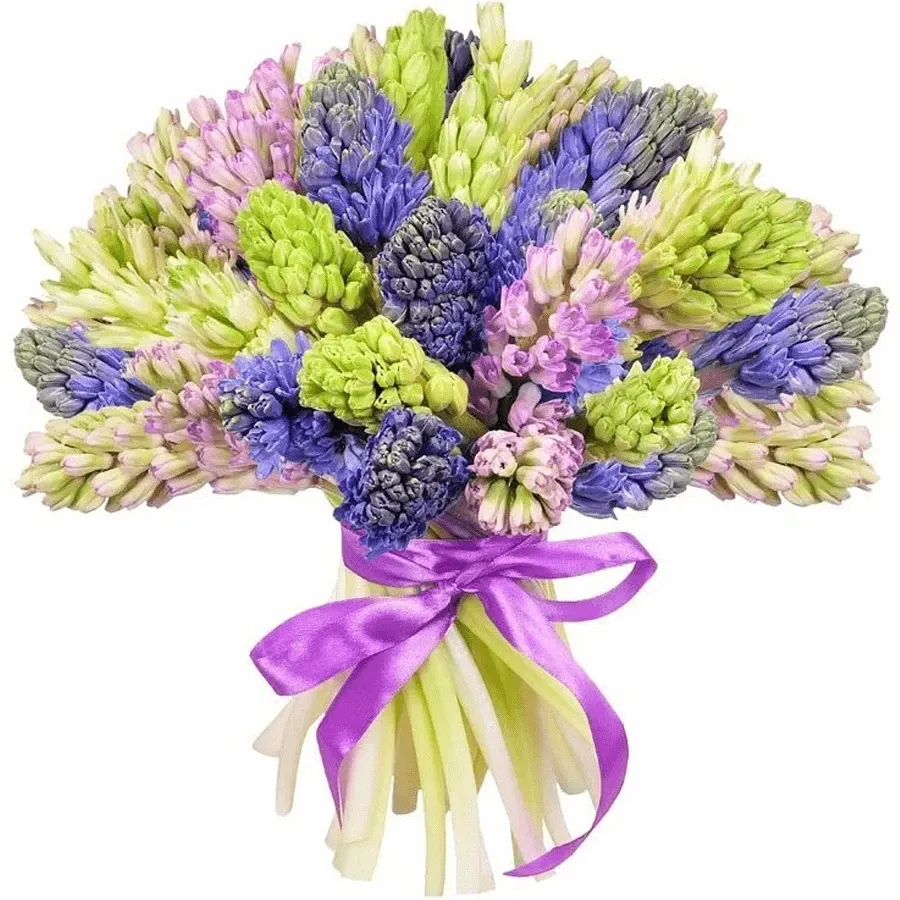 Гиацинт микс №1