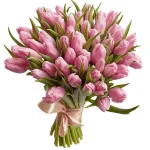 Тюльпан розовый